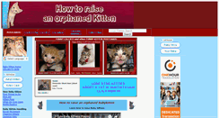 Desktop Screenshot of kittenbaby.com