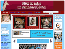 Tablet Screenshot of kittenbaby.com